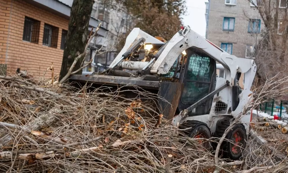 Find professional emergency tree services near you