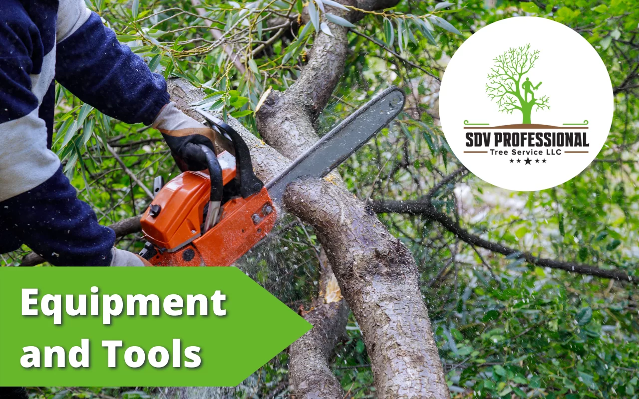 Equipment and Tools Needed to Prune or Trim your Tree