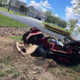 Stump Removal