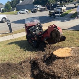 stump removal