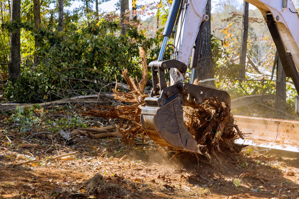 Best Stump Grinding Service