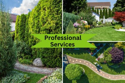 expert care for your trees and bushes