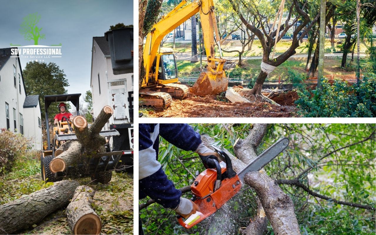 A guide on applying for tree removal permits in Huntsville to ensure legal compliance.