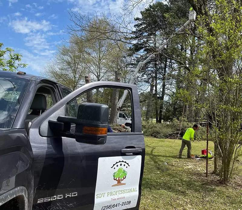 Tree Servicesin Madison, AL