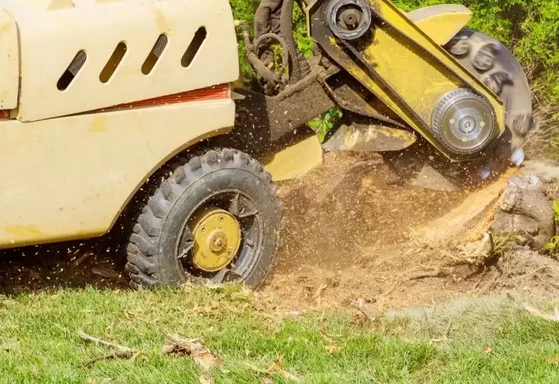 what is stump grinding