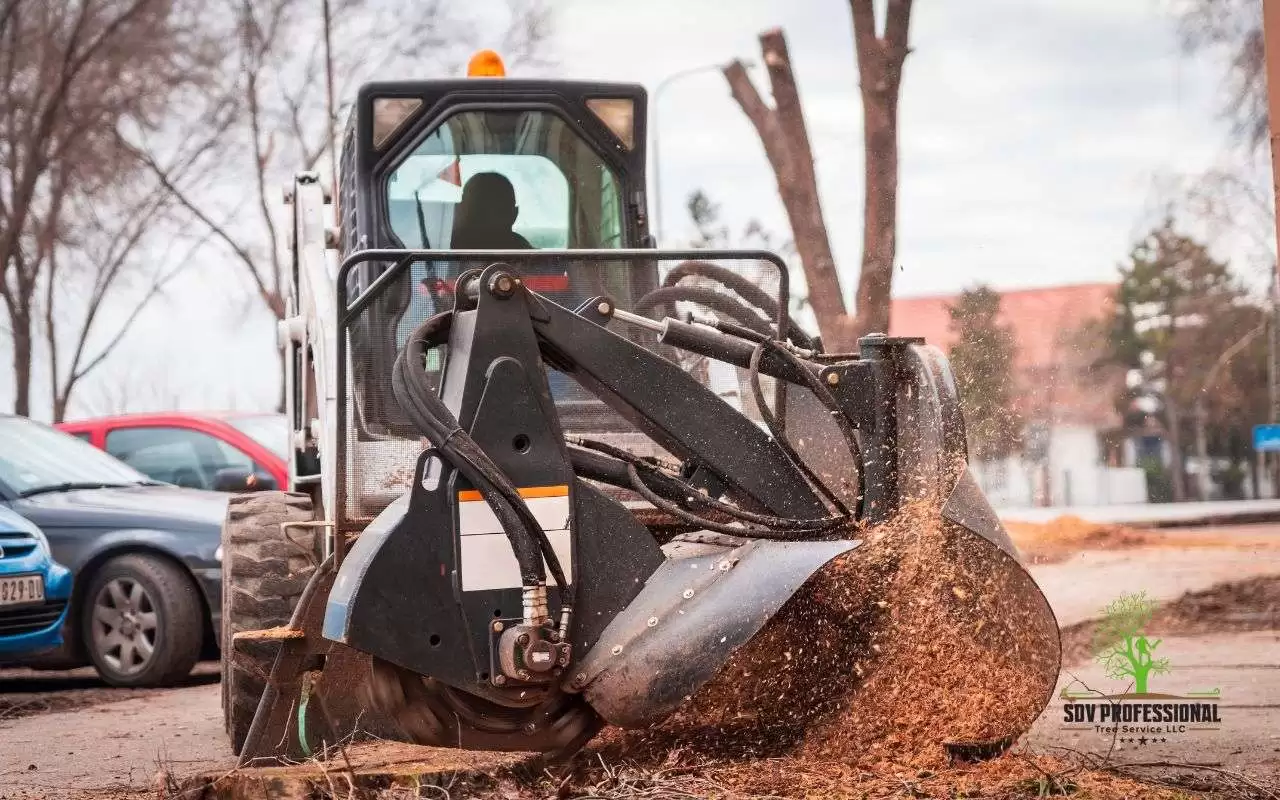 Stump grinder in action, removing a large tree stump from a residential yard.